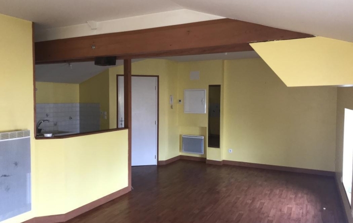 Réseau Immo-diffusion : Appartement P3  SAINT-LAURENT-DE-CHAMOUSSET  56 m2 110 000 € 