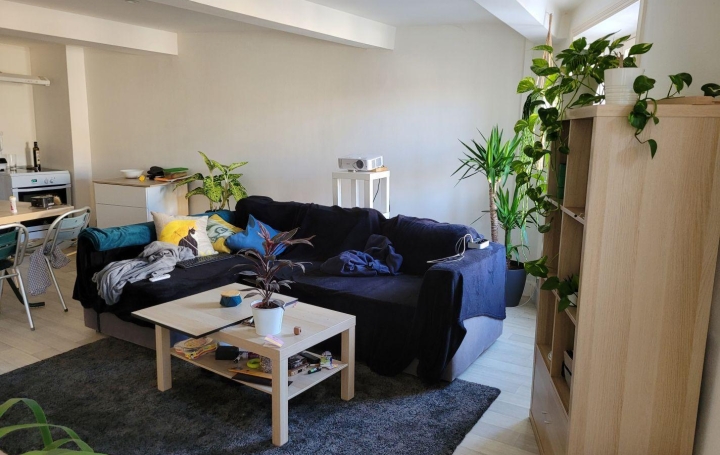 Appartement SAINT-LAURENT-DE-CHAMOUSSET (69930) 51 m2 99 000 € 