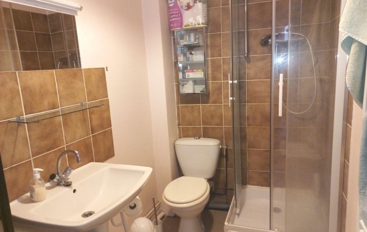 Studio SAIN-BEL (69210)  25 m2 62 000 € 