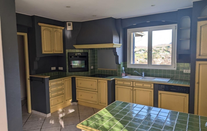 Maison SAINT-PIERRE-LA-PALUD (69210)  142 m2 490 000 € 