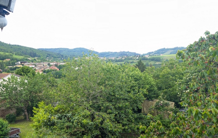 Maison SAINT-PIERRE-LA-PALUD (69210)  105 m2 259 000 € 