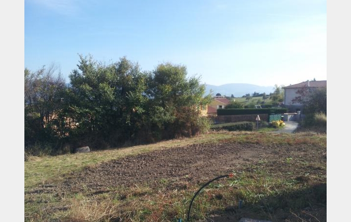 Réseau Immo-diffusion : Terrain  BIBOST   84 800 € 