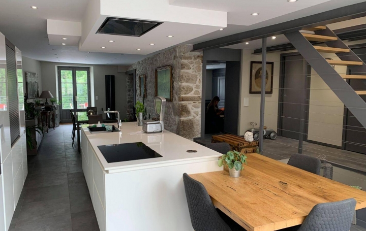 Réseau Immo-diffusion : Maison  GEX  350 m2 0 € 