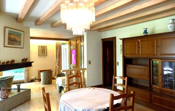 Maison ANNEMASSE (74100)  300 m2 1 680 000 € 