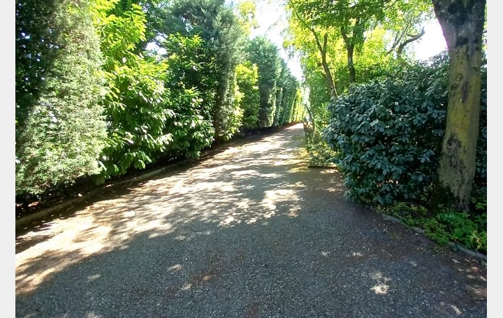 Maison ANNEMASSE (74100)  300 m2 1 680 000 € 