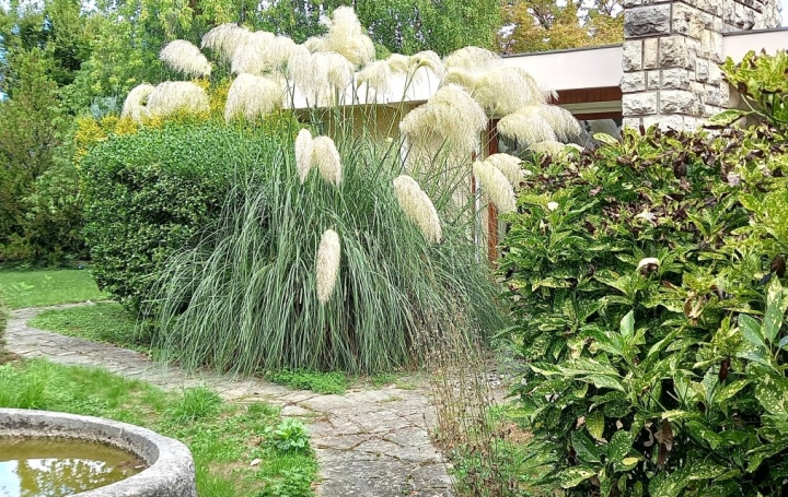 Maison ANNEMASSE (74100)  300 m2 1 680 000 € 