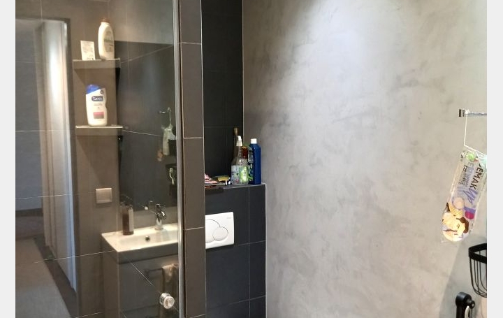 4 Pièces ANNEMASSE (74100)  105 m2 490 000 € 