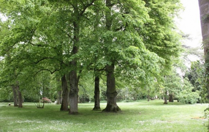 Réseau Immo-diffusion : Appartement P4  MAROLLES-EN-HUREPOIX  113 m2 307 000 € 