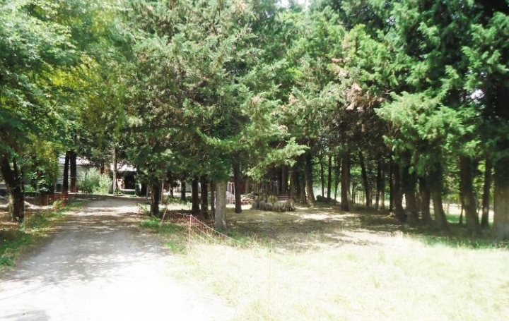 Réseau Immo-diffusion : Propriété  CHATEAUNEUF-DE-GADAGNE  950 m2 1 950 000 € 