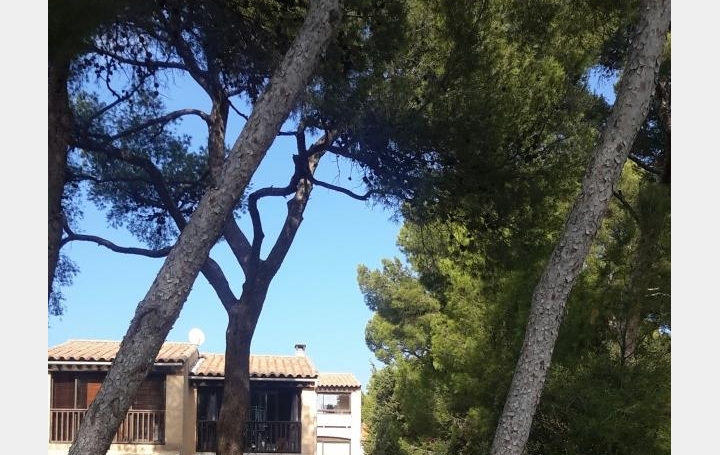 Réseau Immo-diffusion : Appartement P1  SAUSSET-LES-PINS  24 m2 177 000 € 