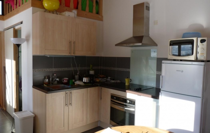 Réseau Immo-diffusion : Appartement P2  PRADES-D'AUBRAC  32 m2 38 000 € 