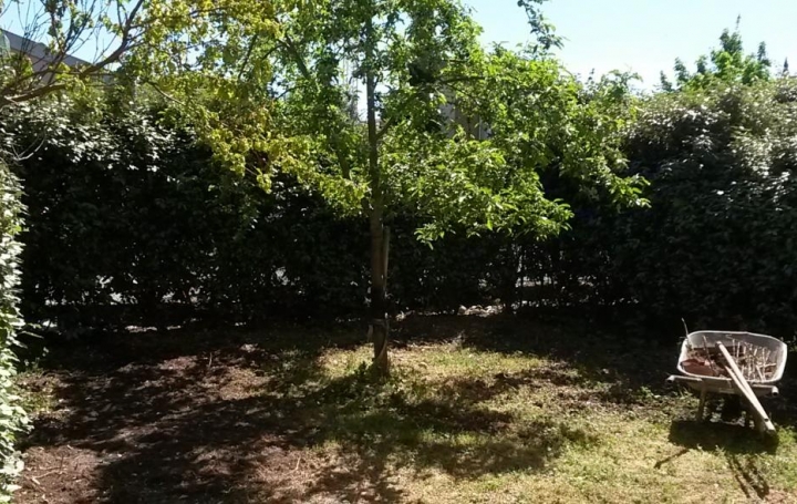 Réseau Immo-diffusion : Appartement P2  AUCAMVILLE  35 m2 580 € 