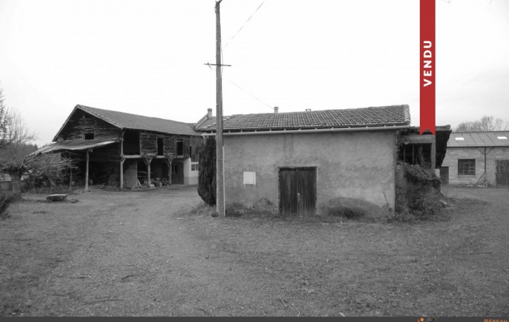 Réseau Immo-diffusion : Domaine  LANNEMEZAN  230 m2 224 000 € 