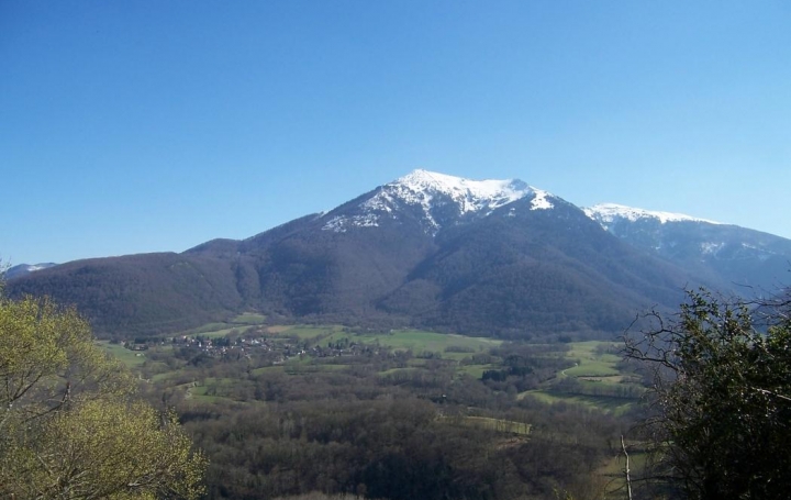 Réseau Immo-diffusion : Maison  SAINT-GAUDENS  200 m2 844 000 € 