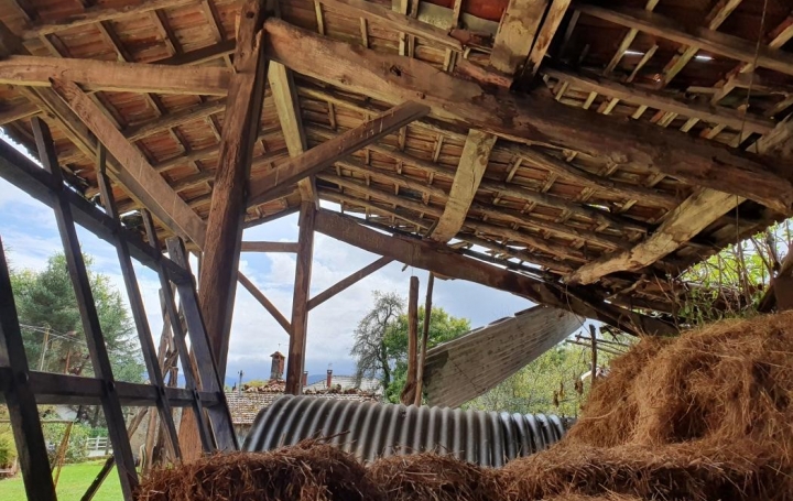 Réseau Immo-diffusion : Maison  TUZAGUET  60 m2 20 000 € 