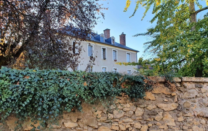 Réseau Immo-diffusion : Maison  MONTSAUNES  600 m2 265 000 € 