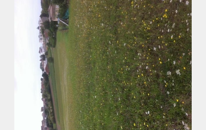 Réseau Immo-diffusion : Terrain  VERTEUIL-D'AGENAIS   65 000 € 