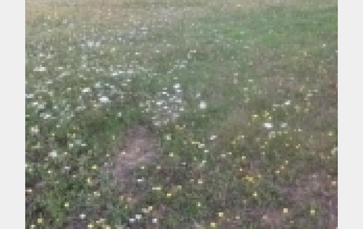 Réseau Immo-diffusion : Terrain  VERTEUIL-D'AGENAIS   65 000 € 