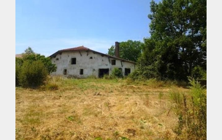 Réseau Immo-diffusion : Maison  HOUEILLES  300 m2 85 000 € 