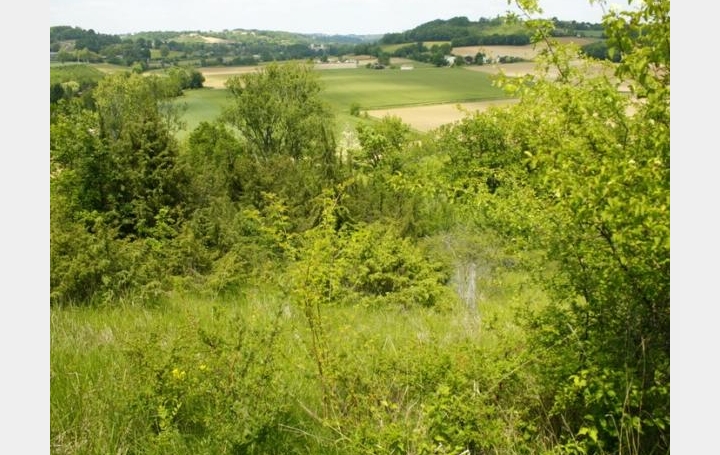 Réseau Immo-diffusion : Terrain  PERVILLE   3 500 € 