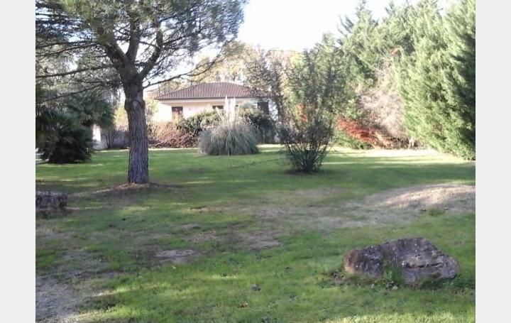 Réseau Immo-diffusion : Terrain  FRONTON   60 000 € 