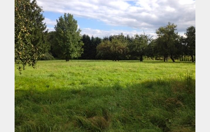 Réseau Immo-diffusion : Terrain  NEGREPELISSE  21 000 m2 152 000 € 