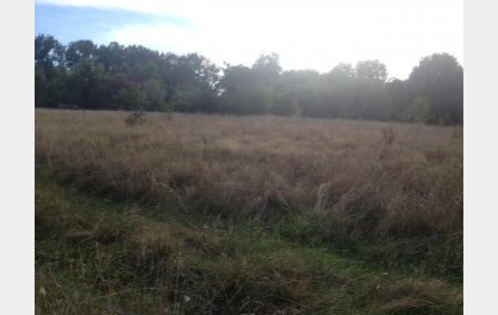 Réseau Immo-diffusion : Terrain  SAINT-SAUVEUR   136 000 € 