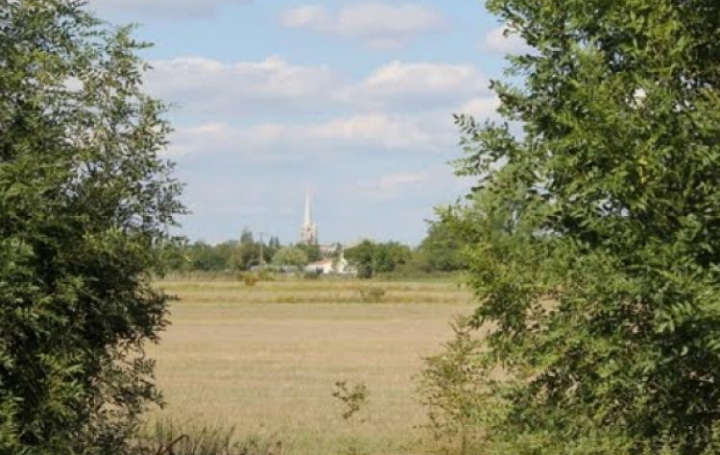 Réseau Immo-diffusion : Terrain  LA ROCHE-SUR-YON  1 000 m2 45 000 € 