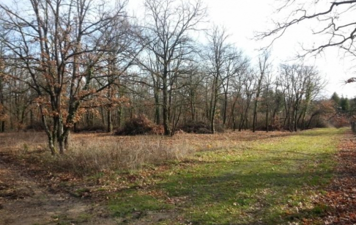 Réseau Immo-diffusion : Terrain  SAINT-SAUVEUR   132 000 € 