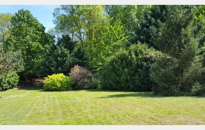 Réseau Immo-diffusion : Terrain  BRUGUIERES   158 000 € 