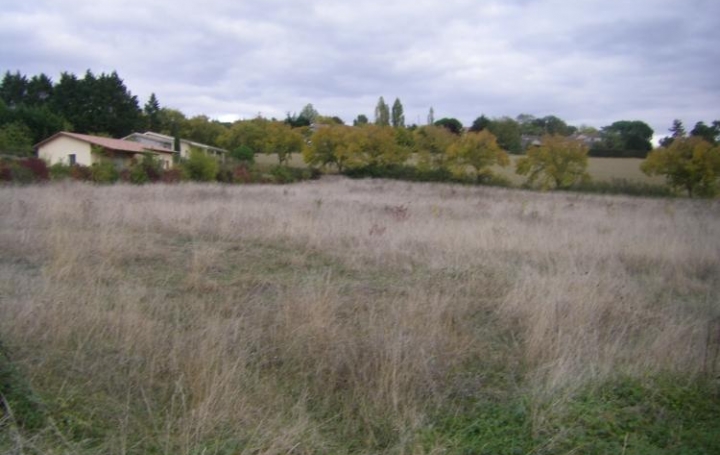 Réseau Immo-diffusion : Terrain  LA SAUVETAT   87 000 € 