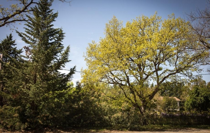 Réseau Immo-diffusion : Terrain  MENVILLE   128 000 € 