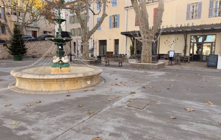 Local commercial VELAUX (13880)  33 m2 665 € 