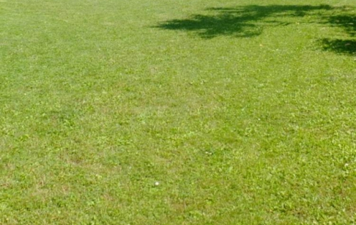 Réseau Immo-diffusion : Terrain  CHANAZ   49 000 € 