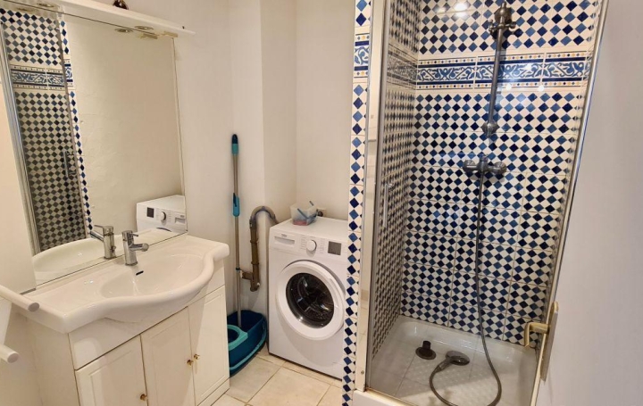 Immeuble LE GRAU-DU-ROI (30240)  270 m2 795 000 € 