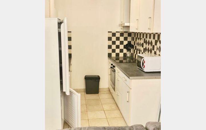 3 Pièces LE GRAU-DU-ROI (30240)  54 m2 242 500 € 