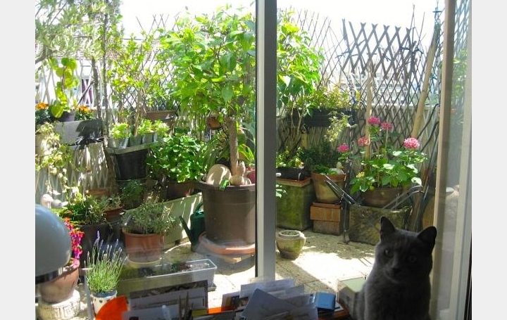 Réseau Immo-diffusion : Appartement P2  SURESNES  40 m2 80 000 € 