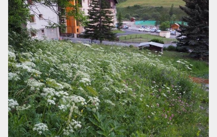 Réseau Immo-diffusion : Terrain  VARS  380 m2 170 000 € 