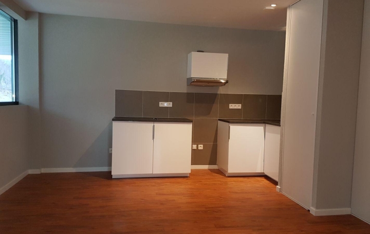 Réseau Immo-diffusion : Appartement P2  SAINT-JULIEN-EN-GENEVOIS  43 m2 950 € 
