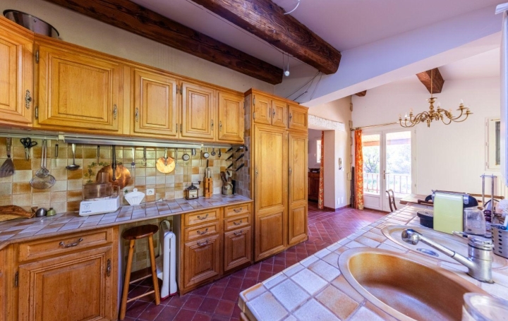 Maison AIGUES-VIVES (30670)  130 m2 470 000 € 