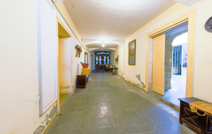 Maison de village AIGUES-VIVES (30670)  371 m2 345 000 € 