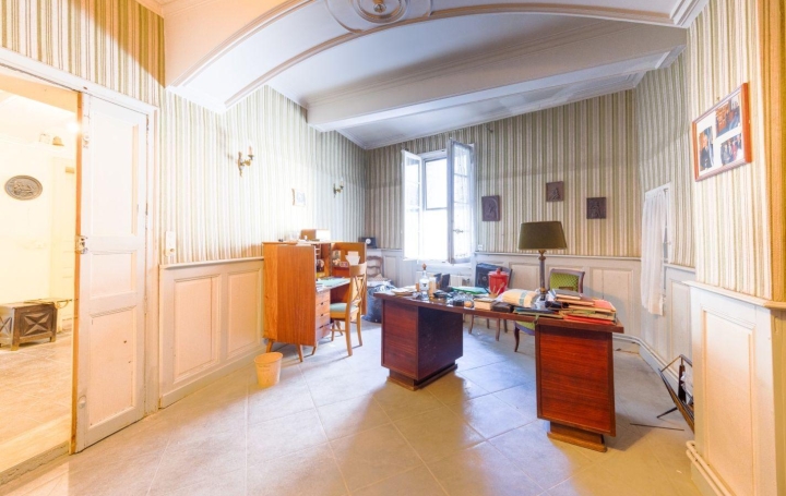 Maison de village AIGUES-VIVES (30670)  371 m2 345 000 € 