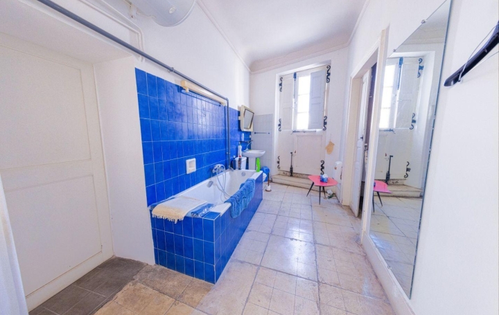 Maison de village AIGUES-VIVES (30670)  371 m2 345 000 € 