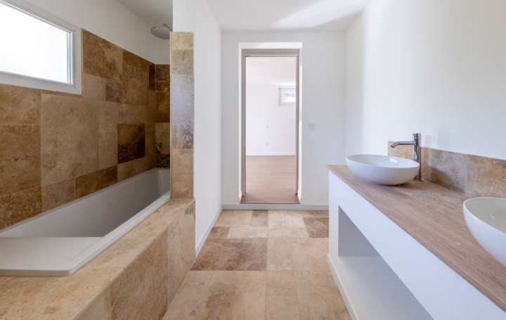 Maison AIGUES-VIVES (30670)  110 m2 350 000 € 