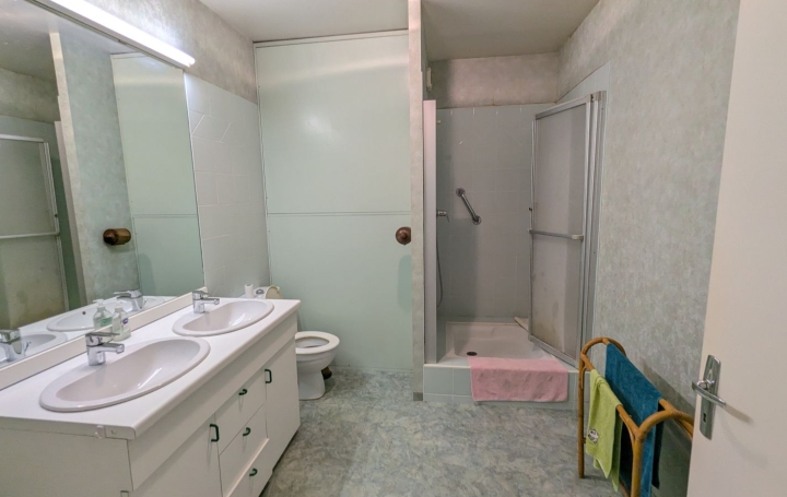 Maison AIGUES-VIVES (30670)  311 m2 373 000 € 