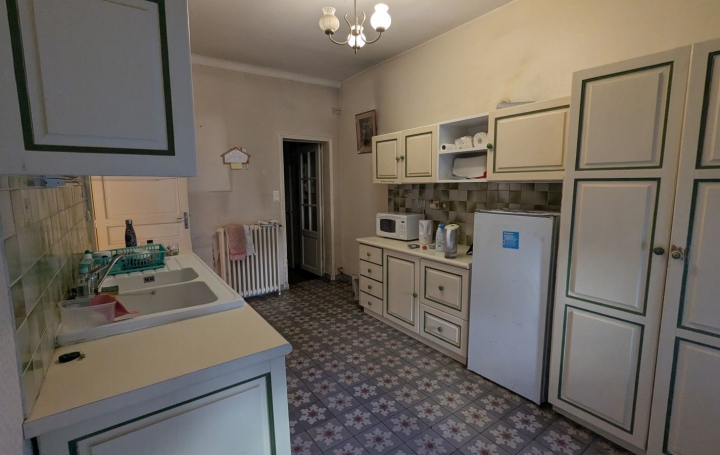 Maison AIGUES-VIVES (30670)  311 m2 373 000 € 