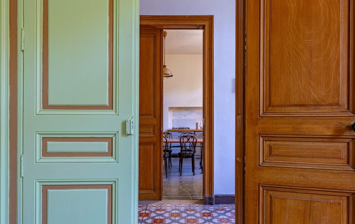 Maison AIGUES-VIVES (30670)  230 m2 565 000 € 