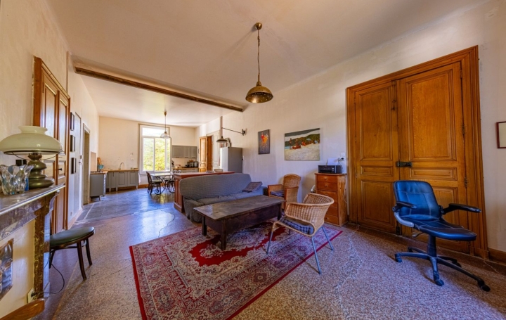 Maison AIGUES-VIVES (30670)  230 m2 565 000 € 