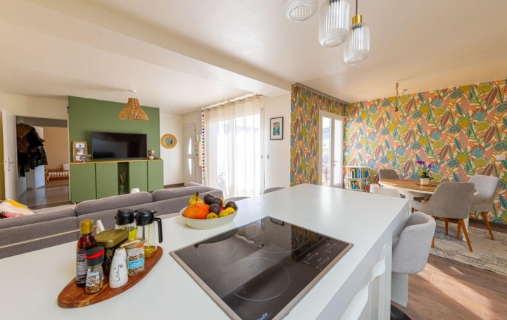 Maison AIGUES-VIVES (30670)  78 m2 340 000 € 