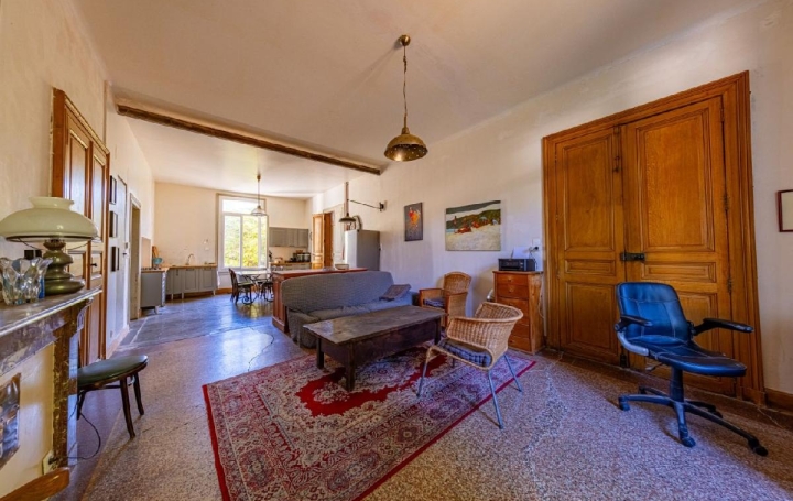 Maison AIGUES-VIVES (30670)  230 m2 485 000 € 